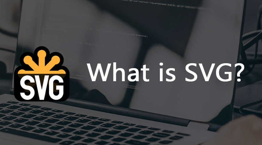 What is SVG? 5 Thing to know about SVG