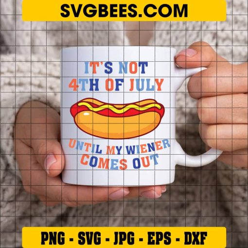 It’s Not 4th of July Until My Wiener Comes Out Svg, America Svg on Cup