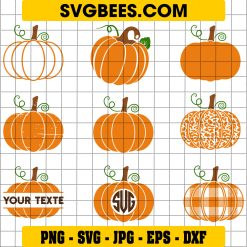 Pumpkins Svg Bundle , Swirly Pumpkin SVG, Pumpkin Clipart, Pumpkin Mandala Svg, Pumpkin Design Svg, Halloween Svg, Fall Svg Autumn Cut File