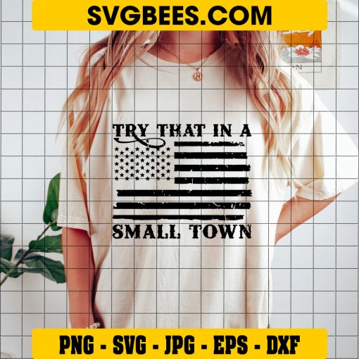 Distressed Flag Svg, Try That In A Small Town Aldean Svg on Shirt