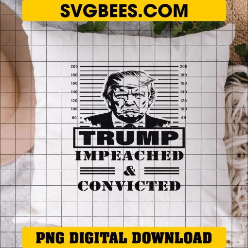 Trump Impeached And Convicted PNG