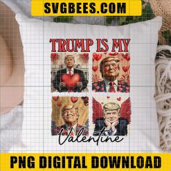 Trump Vibes Trump is my Valentine Png